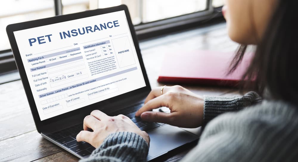 A person uses a laptop to fill out a pet insurance form online. The screen displays sections for pet details, owner information, and coverage options. The individual is typing on the keyboard, perhaps recalling advice from their veterinarian, and a red notebook is placed on the desk beside the laptop.