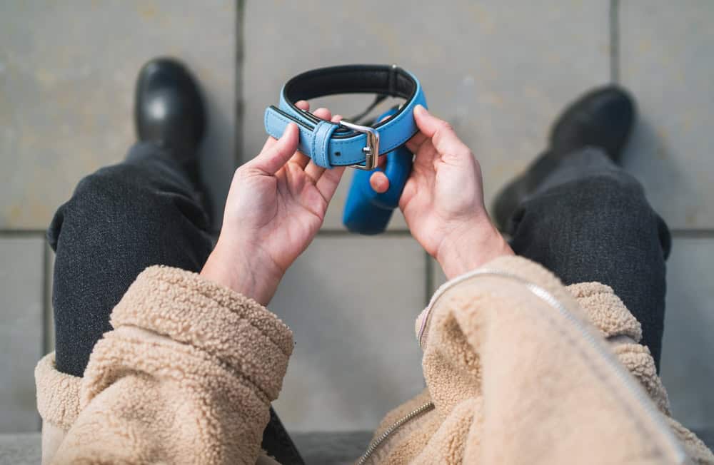 A person wearing a beige fleece jacket and black pants stands holding a blue leather dog collar with a metal buckle. The background reveals grey tiles, partially obscuring the person's legs and black boots. It looks like they could be on their way to see the veterinarian.